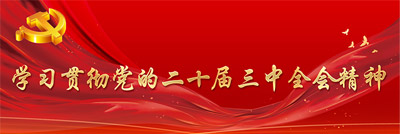 學(xué)習(xí)貫徹黨的二十屆三中全會(huì)精神