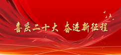 喜慶二十大 奮進(jìn)新征程